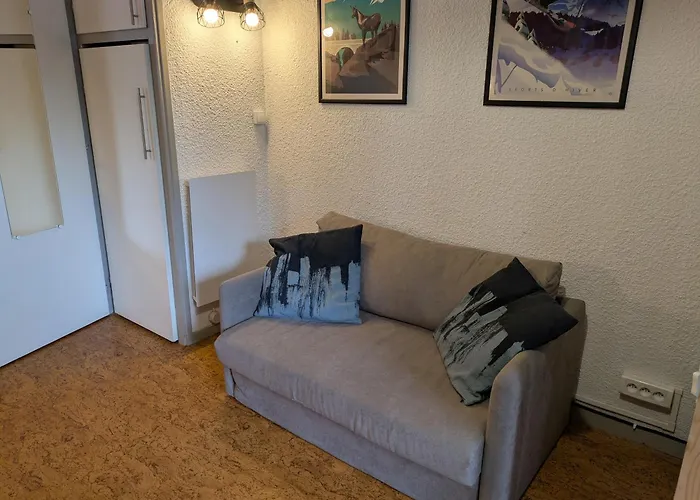 Appartement 4 Personnes, Ascenseur, Balcon, 100 M Du Telecabine